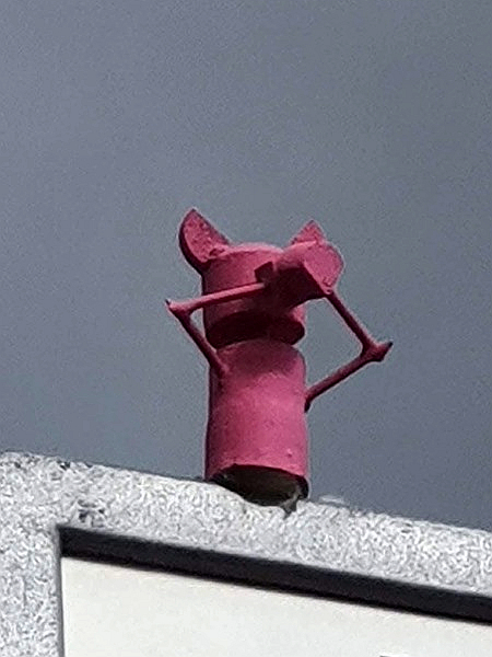 Sauwohl