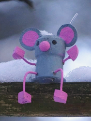 Graue Maus