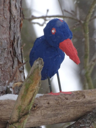 Blaufederbückling