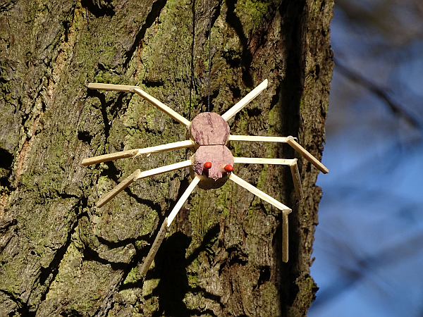 Spinne
