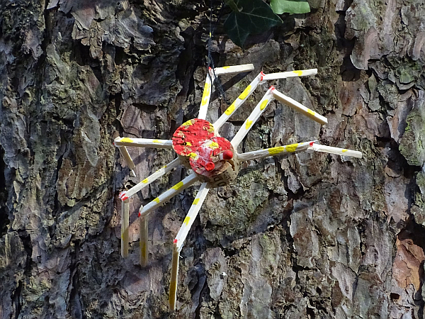 Spinne