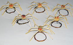 Spinneninvasion