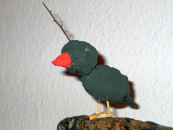 Einhornvogel