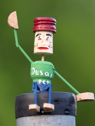 Desaster