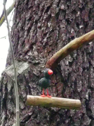 Entenvogel