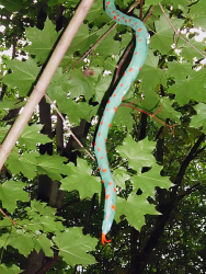 Grüne Mamba