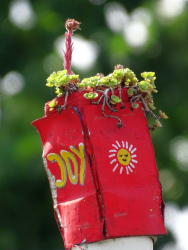 JoY-Garden