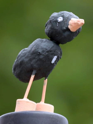 Stadtvogel