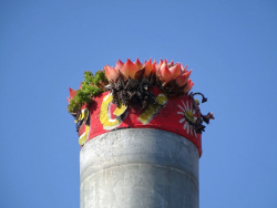 JoY-Garten