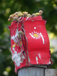 JoY-Garten