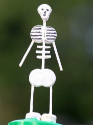 Zeitzeuge