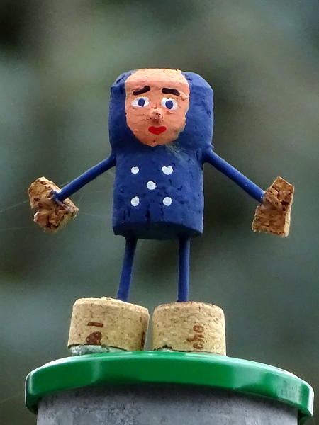 Die Wasserhüpfer