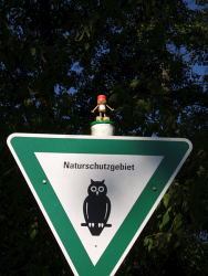 Die Armee der Willigen
