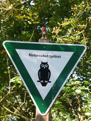 Die Armee der Willigen