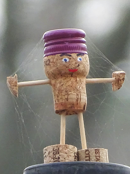 Vereinsmeier