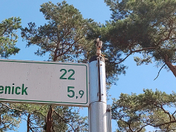 Die Wissenschaft hat festgestellt