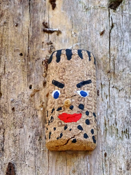 Face
