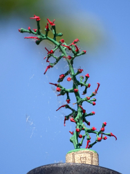 Baumschmuck
