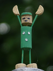 Greenie