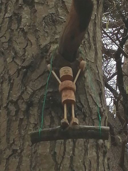 Waldbetrachter