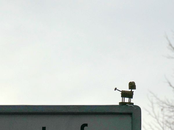 Der Hund
