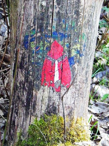 Krawattentr&auml;ger