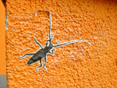 Ev. Kindergarten (Detail)