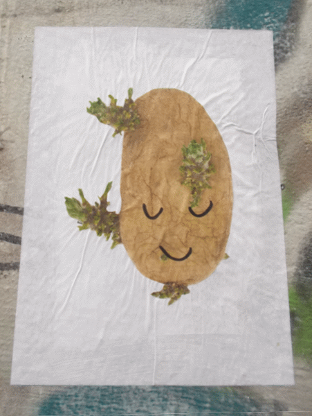 Die Verstreetartung der Kunst